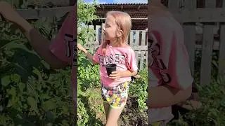 РАДОСТЬ ИЛИ ГРУСТЬ? 