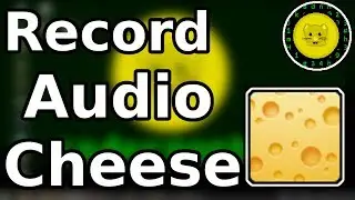How to Record Audio With Cheese for Webcam On Linux