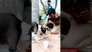 #Vishal