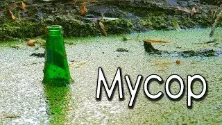 Мусор. Современный мир и экология