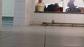 In de wc