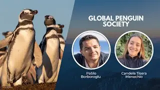 Protecting Penguins Across the Globe | Wildlife Conservation Expo