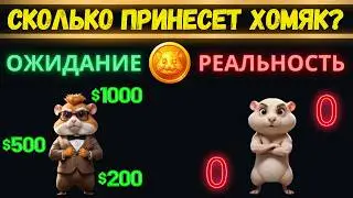 💵 РАСЧЕТ ЗАРАБОТКА: СКОЛЬКО РАЗДАСТ ХАМСТЕР КОМБАТ?
