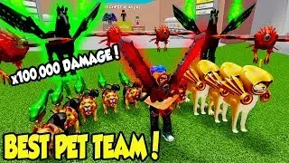 You HAVE TO SEE My INSANE PET TEAM In WARRIOR SIMULATOR!! (Roblox)