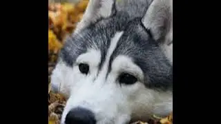 шшшшшшшшшшшшшшшшш
