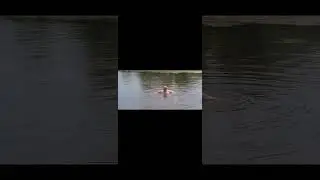 Тестирование камеры