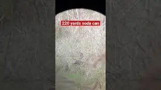 Plinking soda can with fx impact 30 cal.. 220 yards, no spotter, no wind flag… #jsbpellets