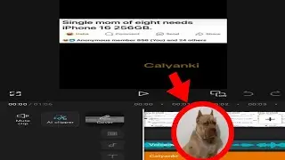 Guide to Make Videos like Calzoski/Caldruki/MANDO