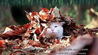 Autunno foglie-glie