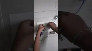 switch and button module