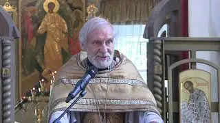 Проповедь на Литургии 12 07 2020 прот Александр Борисов