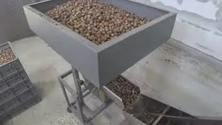 Калибровка фундука