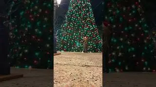 Merry Christmas! Felicidades!🎄🎊❤️ #Christmas #christmastree #merrychristmas #puertorico #GodisGood