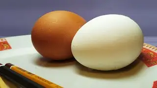Эфир Яичные Эксперименты С Тоном Самоизоляция