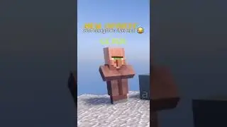 sus Minecraft villager 🤨