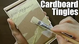 Cardboard recorder tingles! (IN/OUT/Sound Effects) ASMR - no talking -