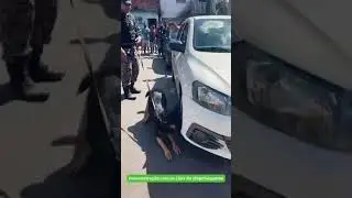 Demonstração com os cães do Batalhão de Choque PMMA