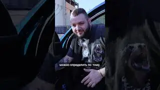 Проблема истощения материалов в салоне автомобиля