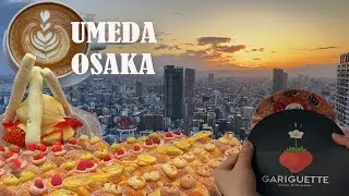 🍣🍶🍰 UMEDA FOOD TOUR 🍓🍛🍢