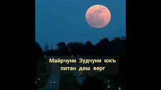 Майрчуни Зудчуни юкъ питан дарх лаьцна Хьехам 🍂