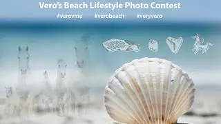 Vero's Beach Lifestyle Photo Contest