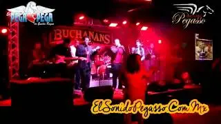 El Pega Pega - Amor de Tiempo Entero