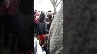 туй дар Шахри хисор дехаи шохон 2022