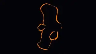 The Unique Of The Longfin Pinnatus Batfish