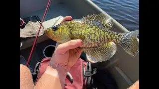 Catching some nice largemouth bass + yellow perch and black crappie ( Re- upload )