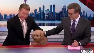 Этот Прямой Эфир Взорвал Весь Интернет!