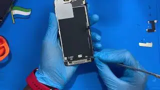 iPhone 13 Pro/Pro Max White and Green Screen: How to Fix it