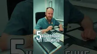 ДЛЯ ЧЕГО СЕРА ОРГАНИЗМУ