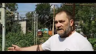 Пилотный выпуск "Что в огороде" Эффективное использование малой площади.