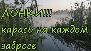 КАРАСЬ на донки на каждом забросе!