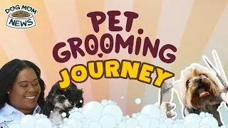 Courtney McWilliams Shares Her Journey To Becoming A Groomer (Interview Highlights)