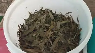 Машина для скручивания иван чая. дешево и сердито.