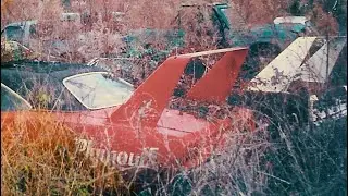 SUPERBIRD TAKES FLIGHT AFTER 40 YEARS 