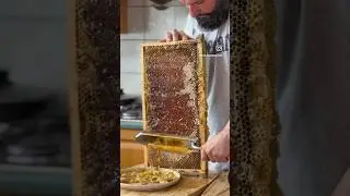 Harvesting Fresh honey from my own Backyard!