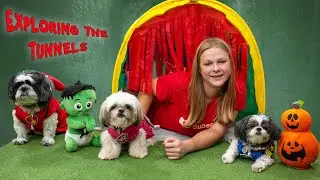 Assistant Searches the Tunnels for Paw Patrol Pups Wiggles, Waggles, and Waffles
