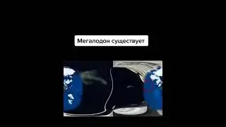 Мегалодон существует😳🦈