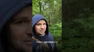 Кричи! Ты в лесу)