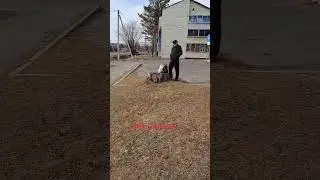 Часть  моей жизни 😁😆😃