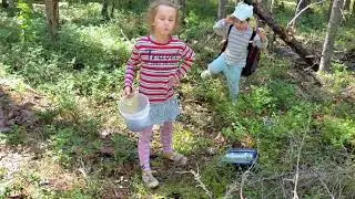 20.07.2024 Syktyvkar. Поход в лес.