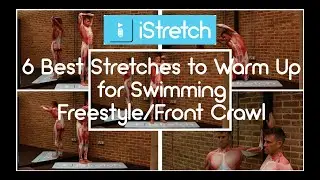 6 Best Stretches to Warm Up for Swimming Freestyle or Front Crawl 🏊‍♂️