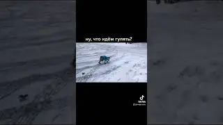 #смешноевидео #приколы #юмор