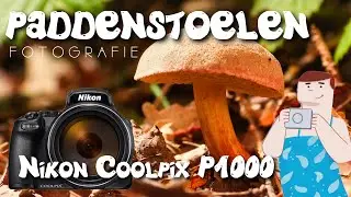 Paddenstoelen fotografie met de Nikon Coolpix P1000