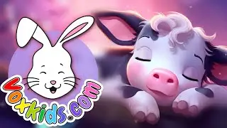 Baby Sleep Lullabies 💕  Newborn, Baby & Toddler Sleep Music 🎵🌙✨To Calm Your Little Cuties
