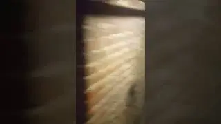 in the dungeons of Warsaw