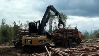 Cat 320D FM Хлыстовой погрузчик