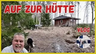 Finland VLOG: Adventures in the wilderness: moose poo, sauna and fallen trees